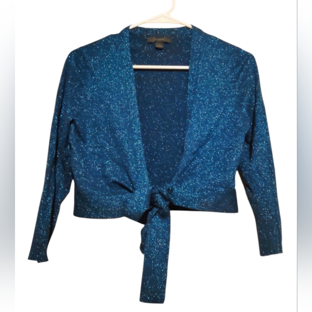 Express Crop Top Front Tie Long Sleeve Blue With Sparkles For Women Size L